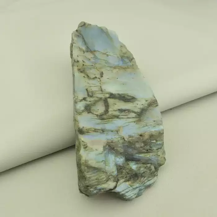 🏷️️ Лабрадор зразок 155x70 мм. ss_98273