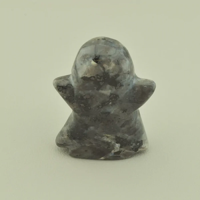 🏷️️ Привид Лабрадор 45х35 ss_101260