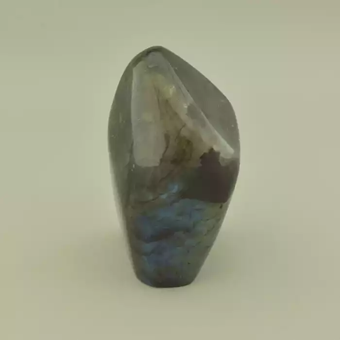 🏷️️ Лабрадор зразок (100х50 мм, сірий) ss_105371