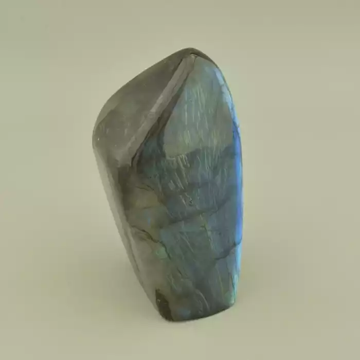 🏷️️ Лабрадор зразок (100х50 мм, сірий) ss_105371