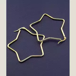 Сережки з французьким замком FJ 50х50 мм