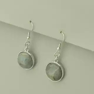 Сережки з підвіскою петля Лабрадор 43х18