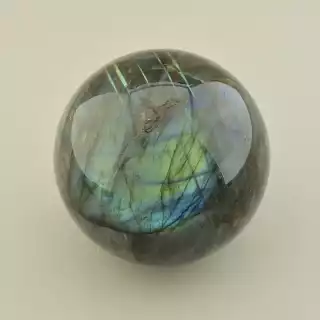 Куля Лабрадор 74x74 мм