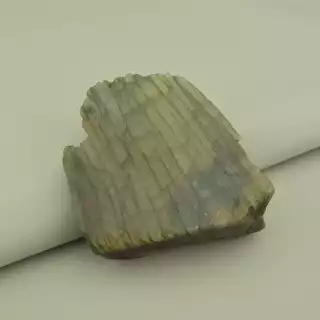 Лабрадор зразок 85x80 мм.