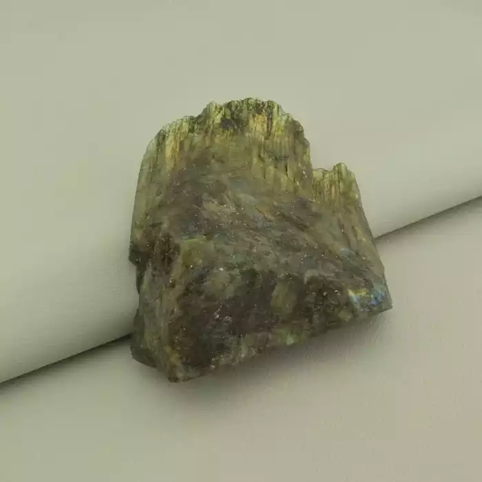 🏷️️ Лабрадор зразок 85x80 мм. ss_99714