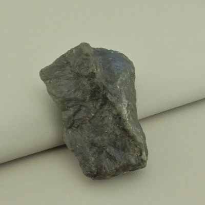 Лабрадор 80x45мм.