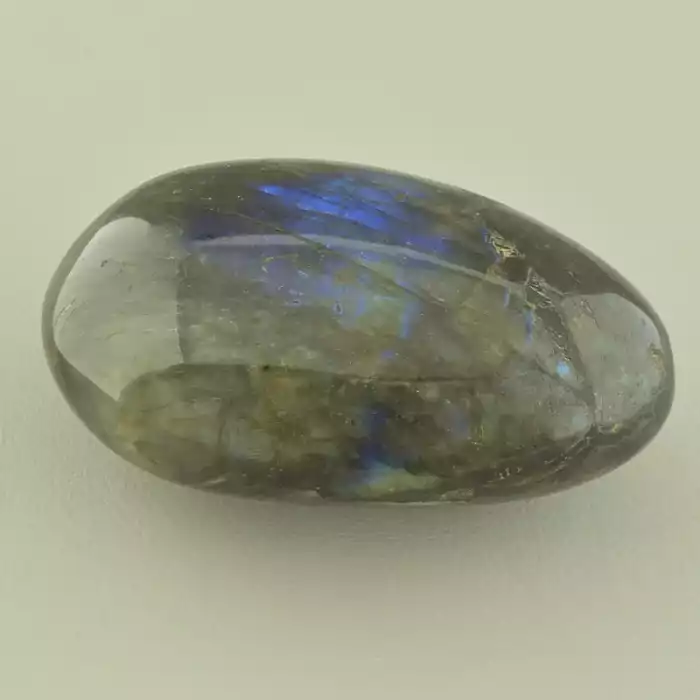 🏷️️ Зразок лабрадору сірий (70х45 мм) ss_104579