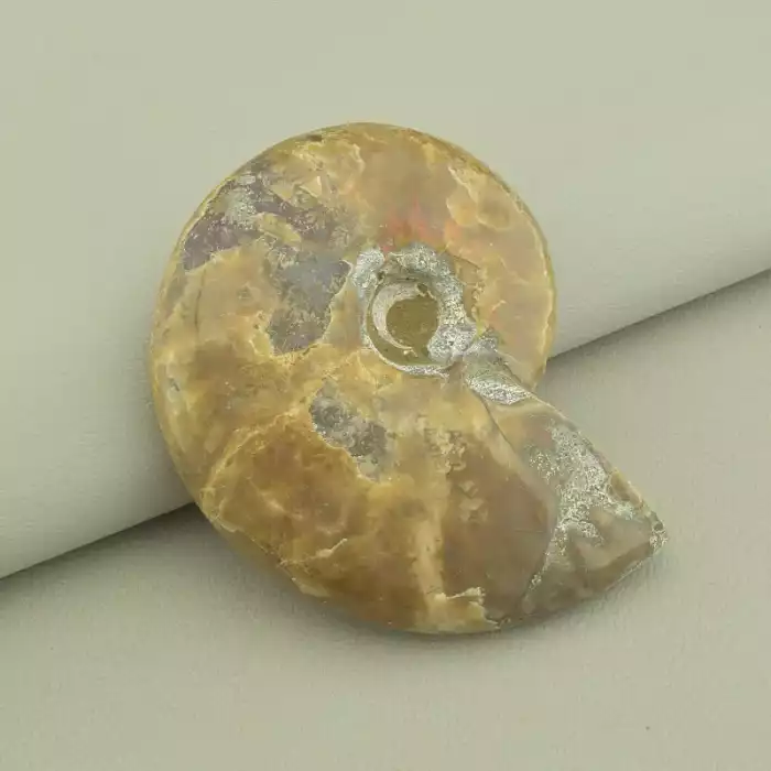 🏷️️ Зразок Аммоніт 80x60 мм. ss_98195