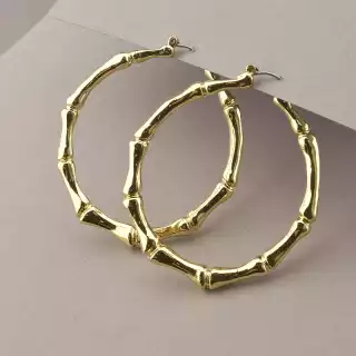 Сережки з французьким замком FJ