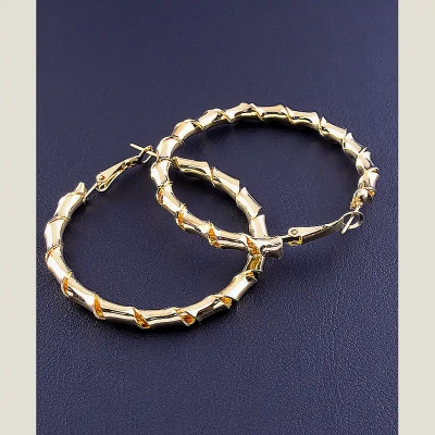 Сережки з французьким замком Fashion 45х5 мм