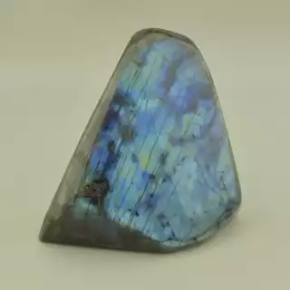 Лабрадор зразок 115x110мм.