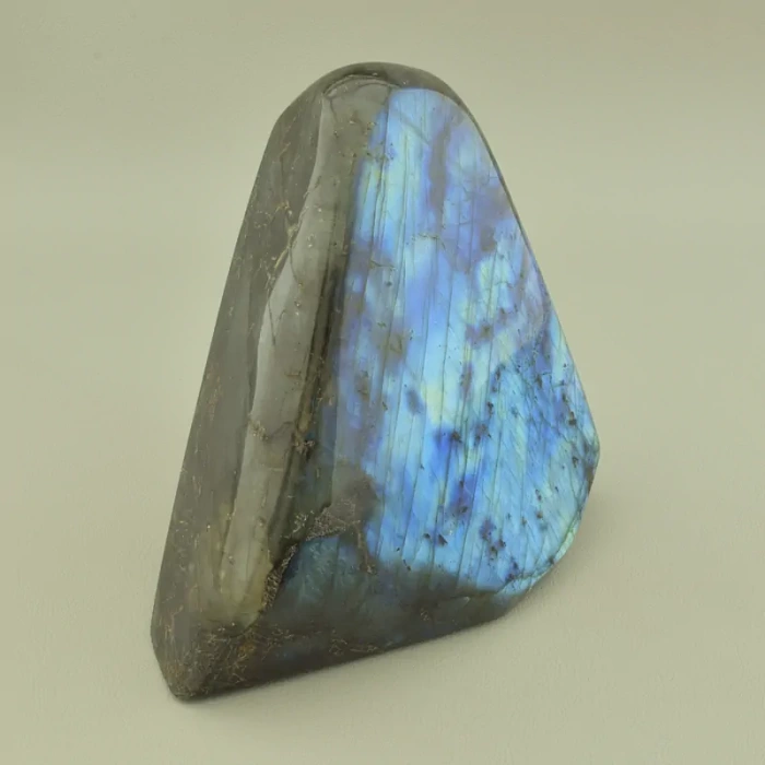 🏷️️ Лабрадор зразок 115x110мм. ss_100791