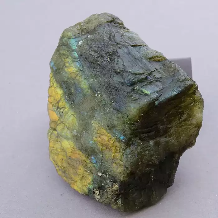 🏷️️ Зразок Лабрадор 75x40 мм. ss_88465