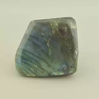 Лабрадор зразок 75x70мм.