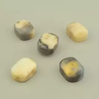 Кабошон Яшма 20х15 мм.