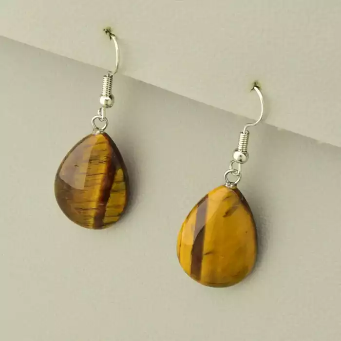 🏷️️ Сережки з підвіскою петля Тигрове око F-106070