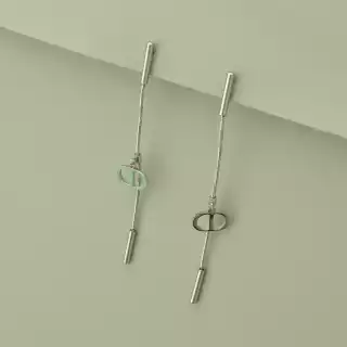 Сережки довгі пусети Stainless Steel (родій)